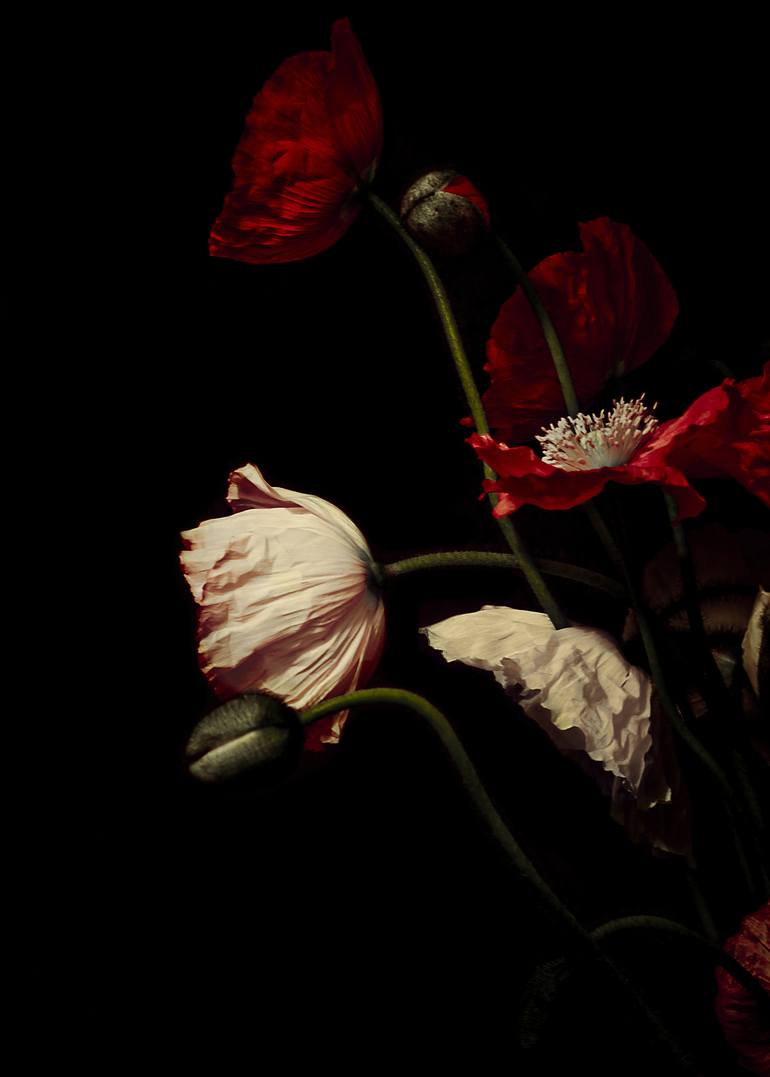 Hordus Noctis - Limited Edition 1 of 9 - Print