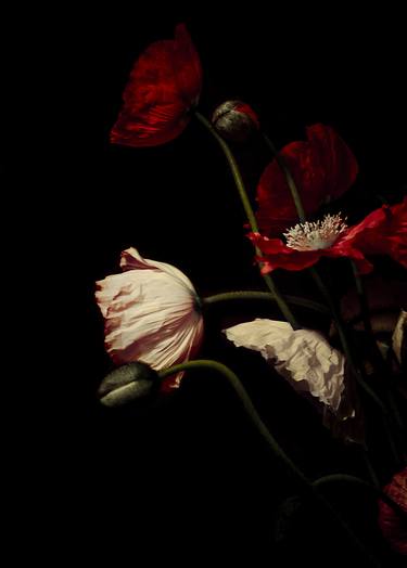 Print of Abstract Floral Photography by Steve Granger