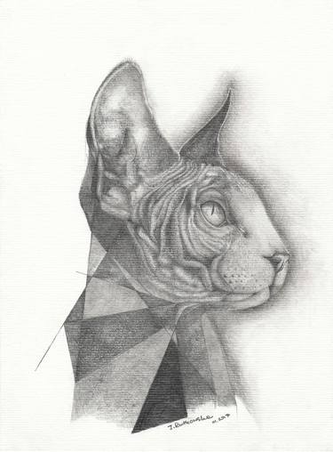 Print of Cats Drawings by Joanna Soghmonian