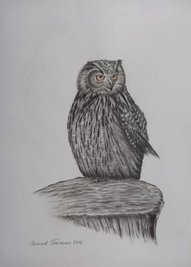 Owl thumb