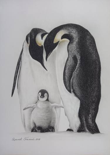 Original Animal Drawings by Yaroslav Teslenko