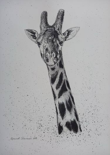 Print of Realism Animal Drawings by Yaroslav Teslenko