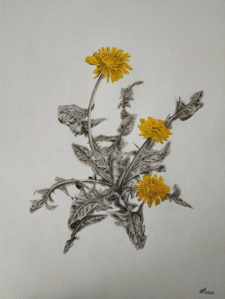Print of Realism Floral Paintings by Yaroslav Teslenko