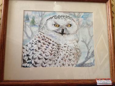 Snowy Owl thumb