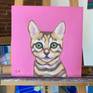 Oil painting on cradled panel, a portrait of a cute orange tabby kitten on a pink background. I love cats, it was a pleasure to paint this portrait.