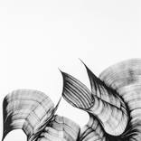 Ease 2 by Jacob Elior Berkowitz