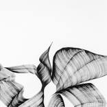 Ease 3 by Jacob Elior Berkowitz