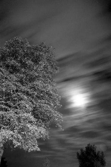 A moonlight impression, Powstańców Warszawy Square, Wrocław, 2002 thumb