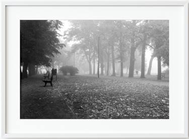 In the morning mist, Dunikowski Boulevard, Wrocław, Poland, 2004 thumb
