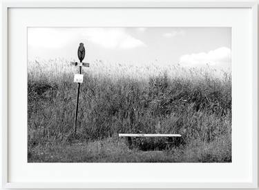 A bus stop, the Sławskie Lake District, Poland, 2003 thumb