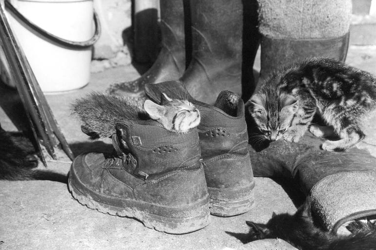 Original Expressionism Landscape Photography by Grzegorz Czech