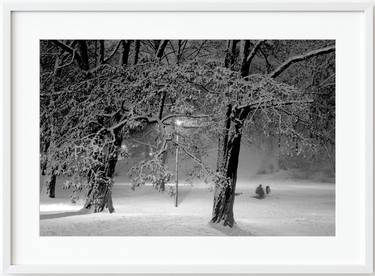 A park near the Polish Hill, winter, Wrocław, Poland, 2005 thumb