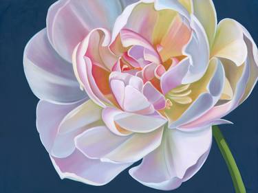 Original Realism Floral Paintings by Laura Dick