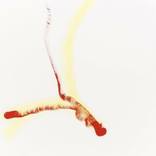 Red and Yellow Sparks by Samara Hyde Page