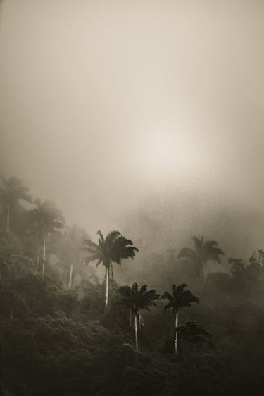 Original Fine Art Landscape Photography by Antonio Schubert