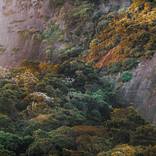 Collection Refined Atmospheres