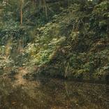 Corcovado Trail XXIII by Antonio Schubert