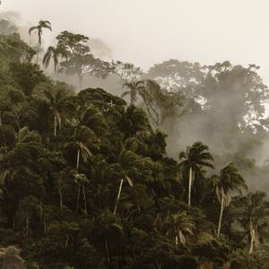 Collection Art for the Mantel