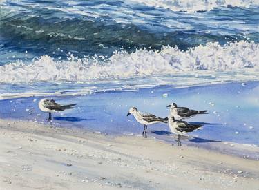 Gulls on the Shore thumb