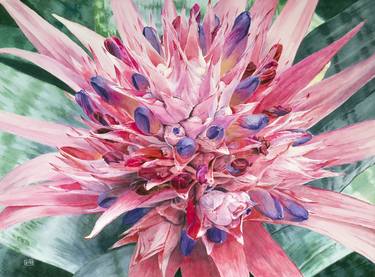 Print of Fine Art Botanic Paintings by Lisa Tennant