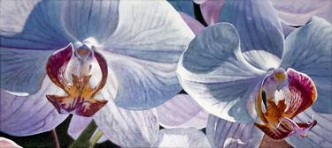 Print of Botanic Paintings by Lisa Tennant
