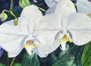 Print of Realism Botanic Paintings by Lisa Tennant