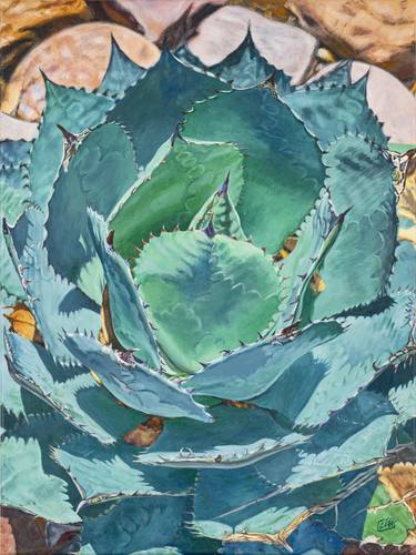 Print of Fine Art Botanic Paintings by Lisa Tennant