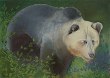 Original Realism Animal Drawings by Fátima Miguel Fernández de Zañartu