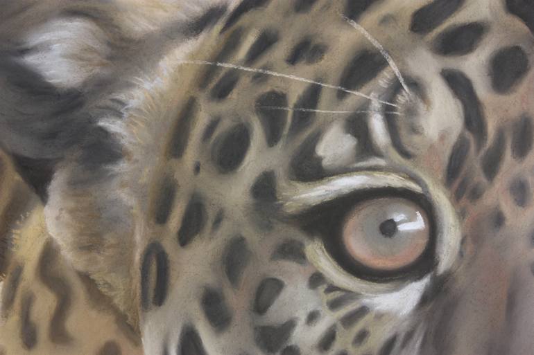 Original Figurative Animal Drawing by Fátima Miguel Fernández De Zañartu