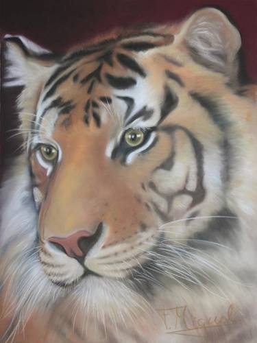 Original Realism Animal Drawings by Fátima Miguel Fernández de Zañartu