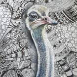 Collection Wildlife Collection