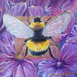 Collection Birds, Bees and Butterflies