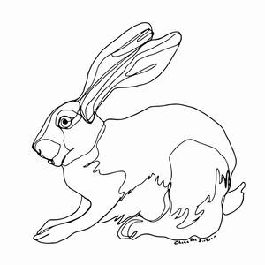 Collection Single Line Art Collection