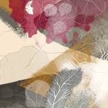 Collection Digital Art Collection