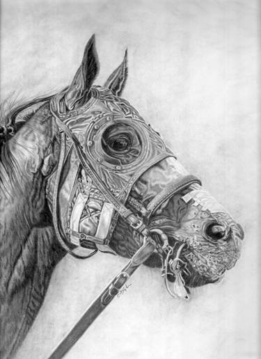 Print of Horse Drawings by Lana Tyler