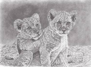 Original Cats Drawings by Lana Tyler