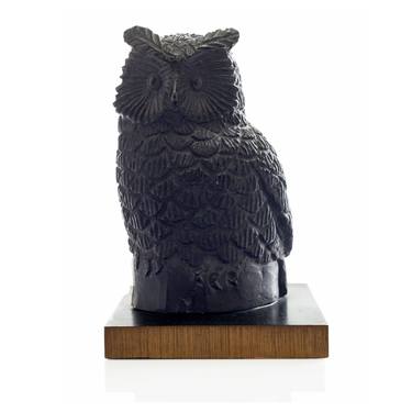 The Owl of Wisdom -1 thumb