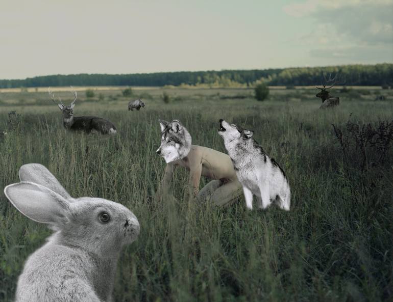 View in a Room Artwork