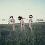 The Hunt. Three birds, one shot by Katerina Bodrunova