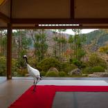 Journey to the Great Sage by Karen Knorr