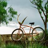 High Plains Drift - Fine Art Print by Denise Prince