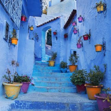 Blue Steps and Flower Pots - Limited Edition 8 of 75 thumb
