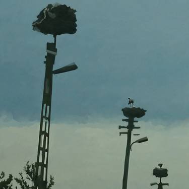 Stork Nests in the Evening thumb