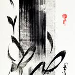 Collection Artist: Maomeii Be