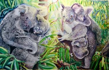 Koala Bear Mamas thumb