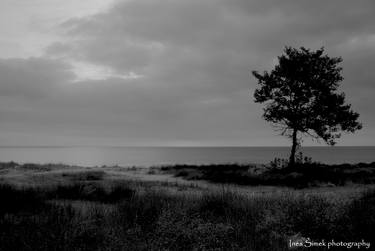 Print of Documentary Beach Photography by Ines Šimek