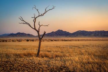 Namibian Solitude thumb