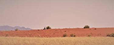 Gemsbok Sentinel thumb