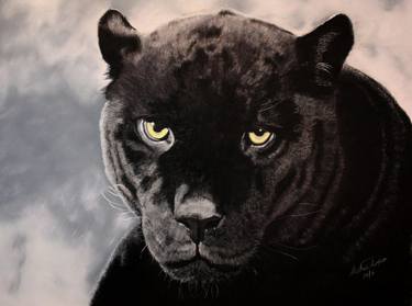 Original Realism Animal Drawings by Stephen Thompson