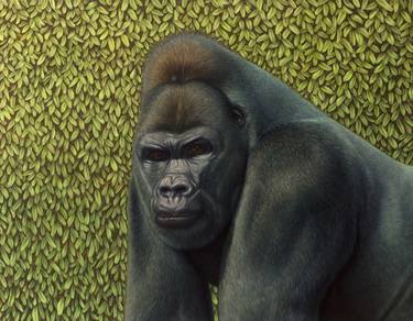 Gorilla with a Hedge thumb